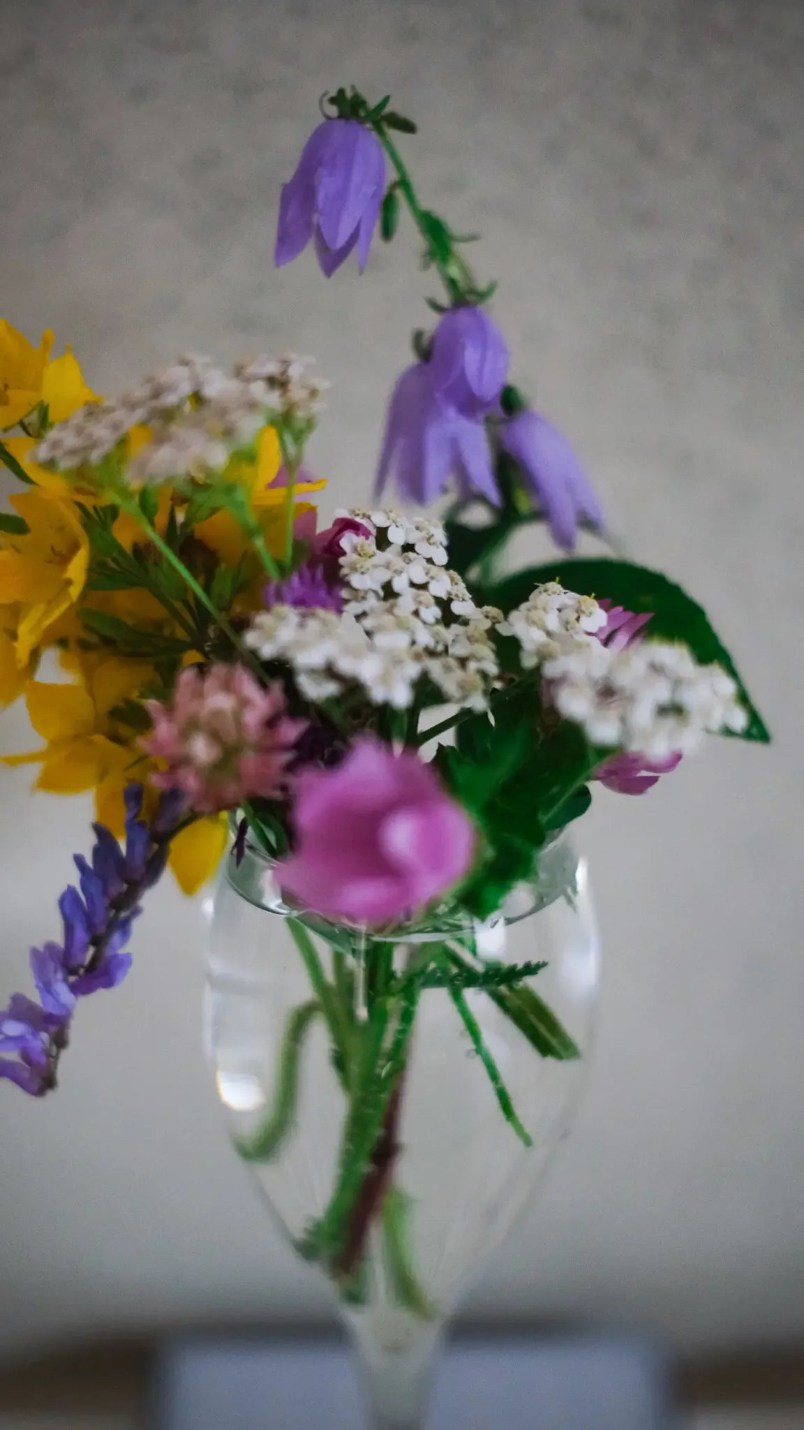 Allemansrätten: почему в Швеции природа — это для всех