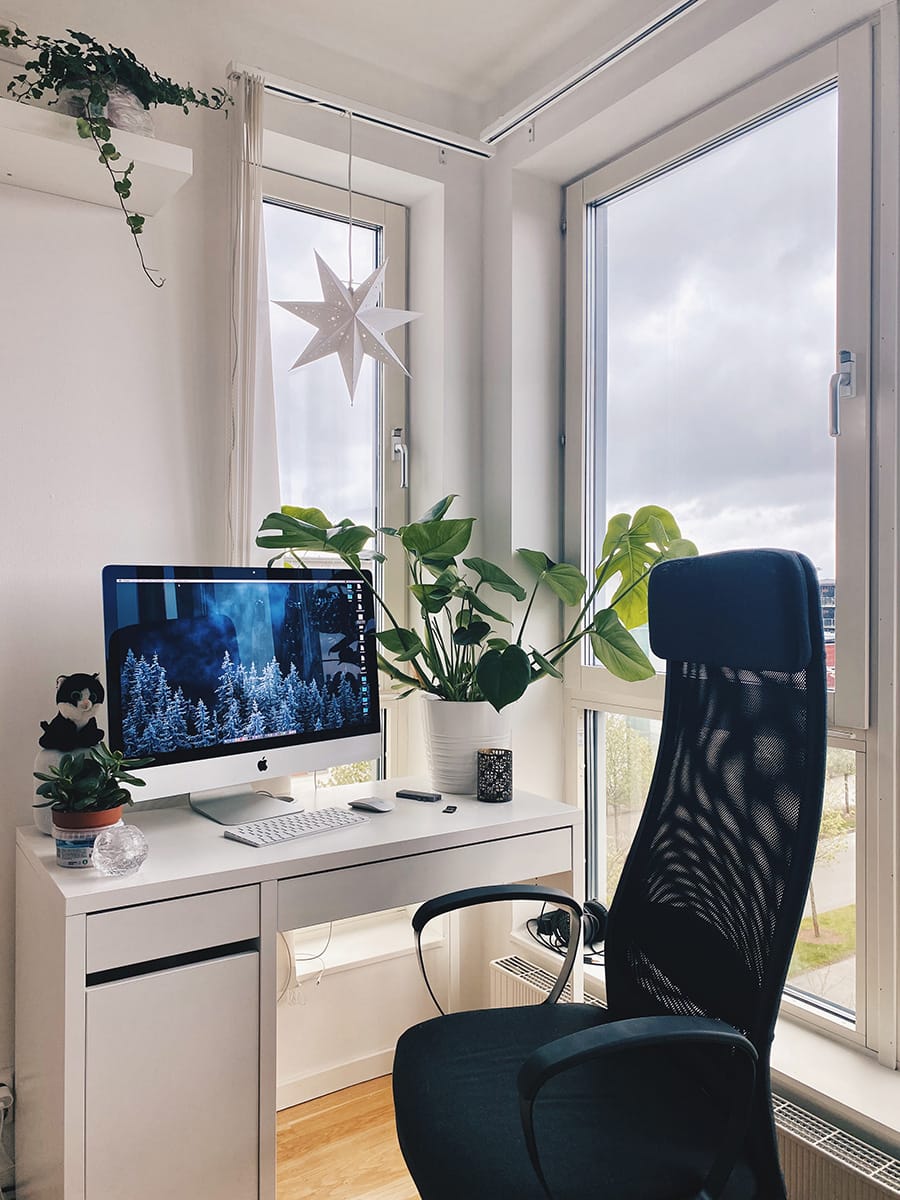 Зелёные джунгли в шведских домах: Как Швеция оживила мою семейную традицию