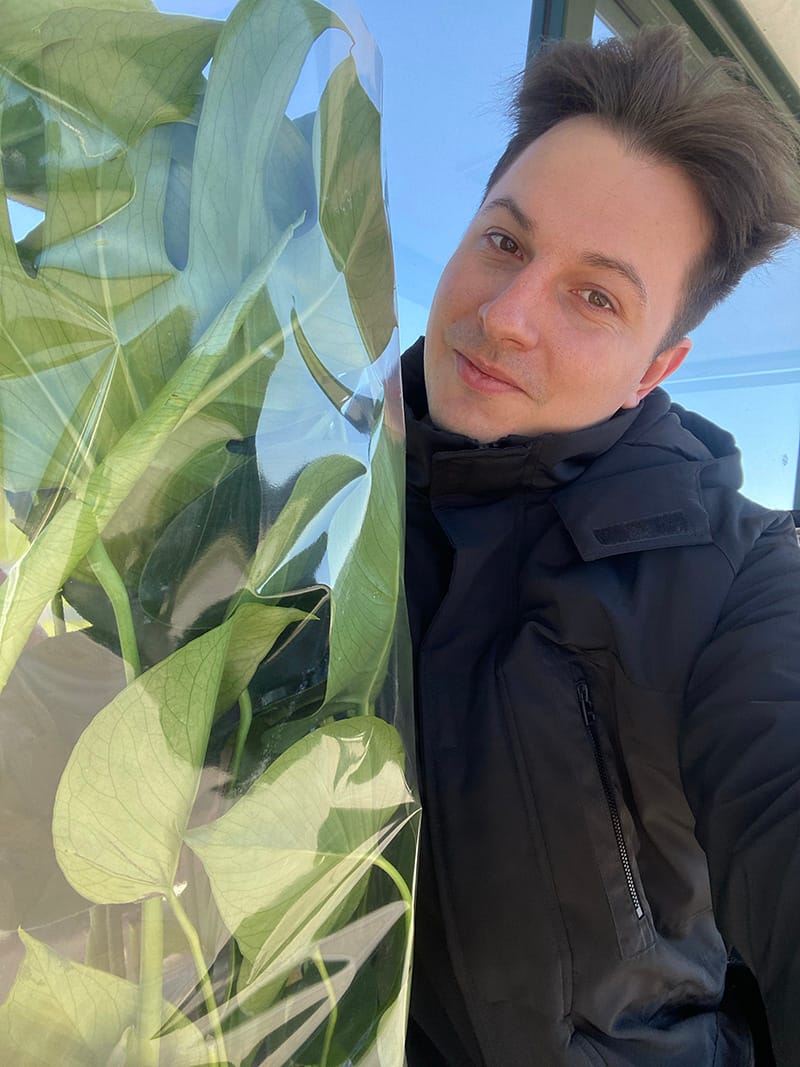 Зелёные джунгли в шведских домах: Как Швеция оживила мою семейную традицию