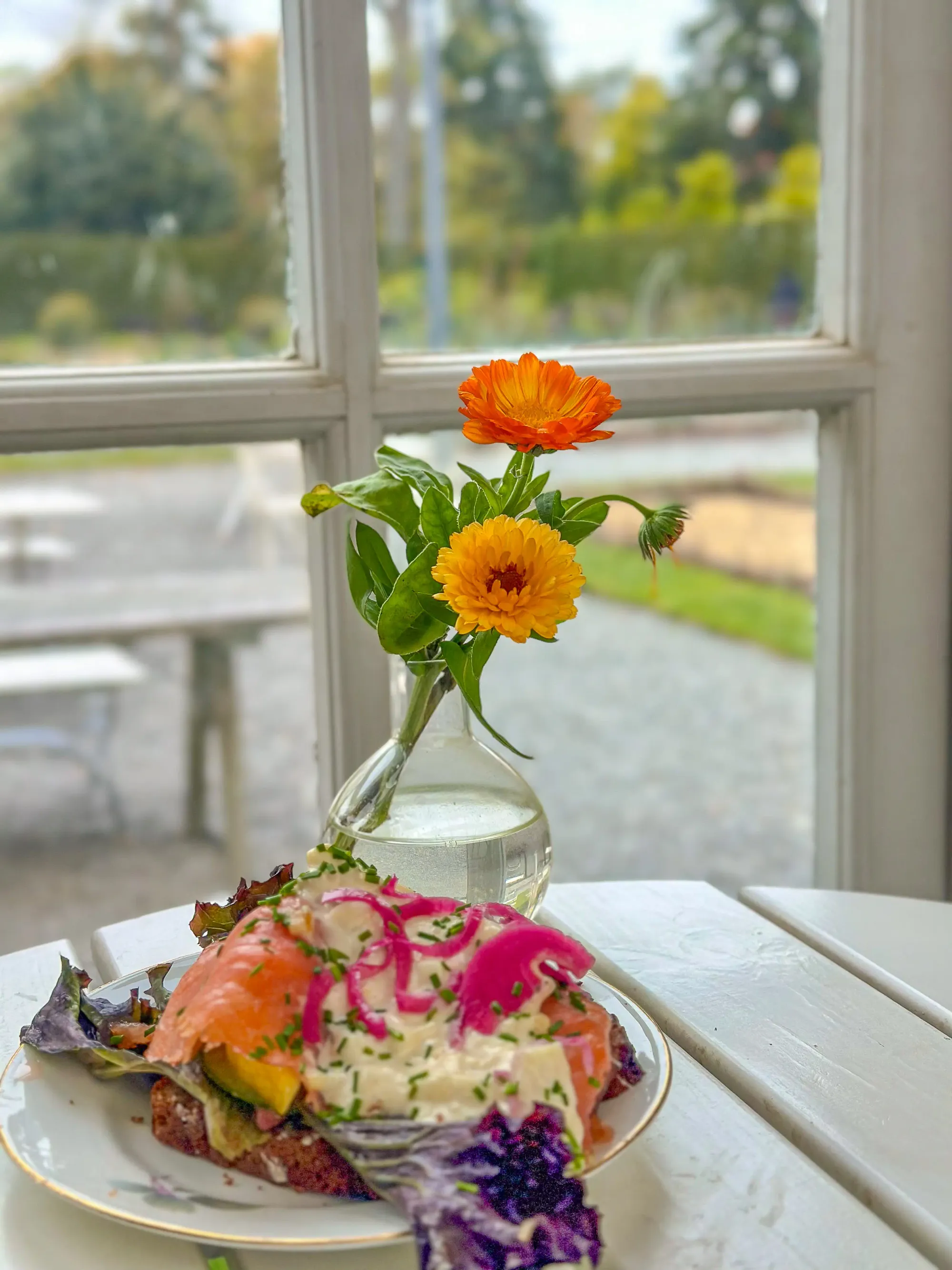 Allemansrätten: почему в Швеции природа — это для всех