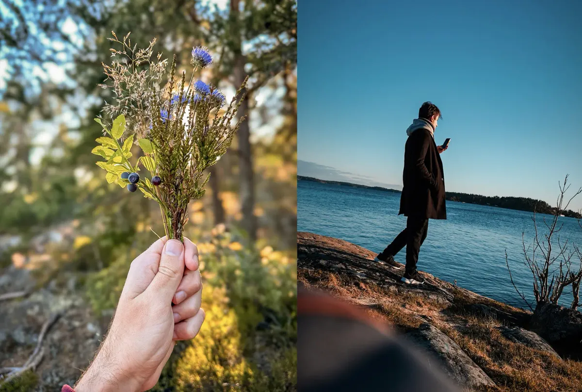 Allemansrätten: почему в Швеции природа — это для всех