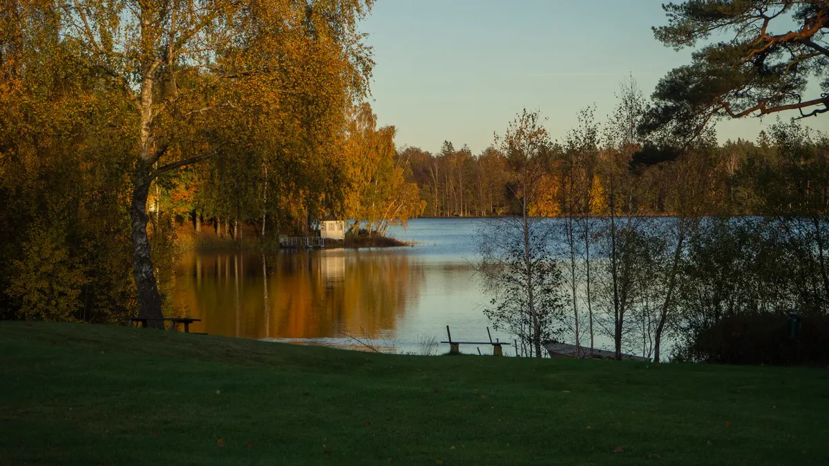 Почему в Швеции не боятся тишины